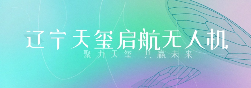 辽宁天玺启航无人机