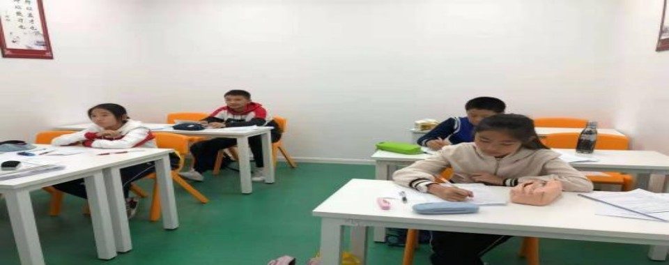 2025届中高考进步学生案例展示