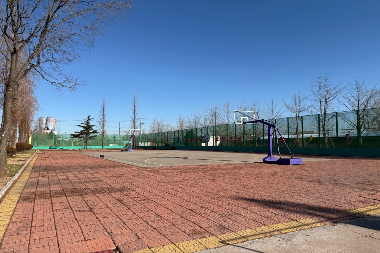  简诚特训之初遇青春