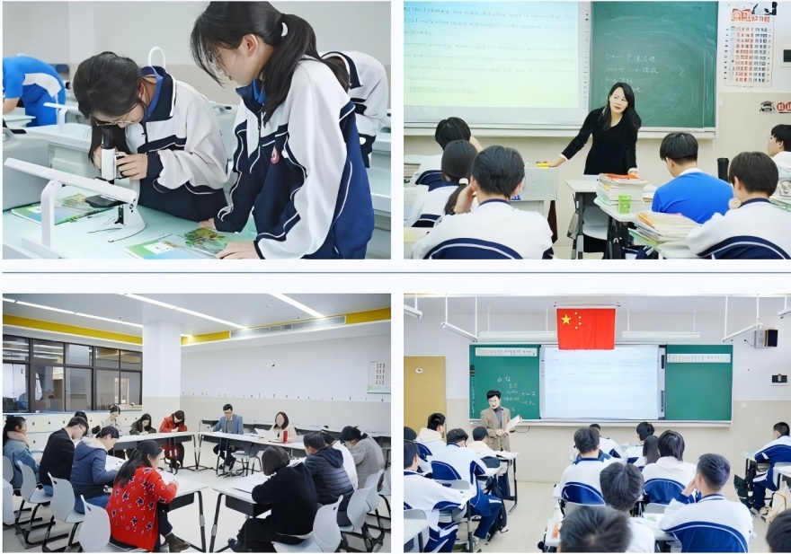 深圳博恒实验高中学校学员高分上岸一览