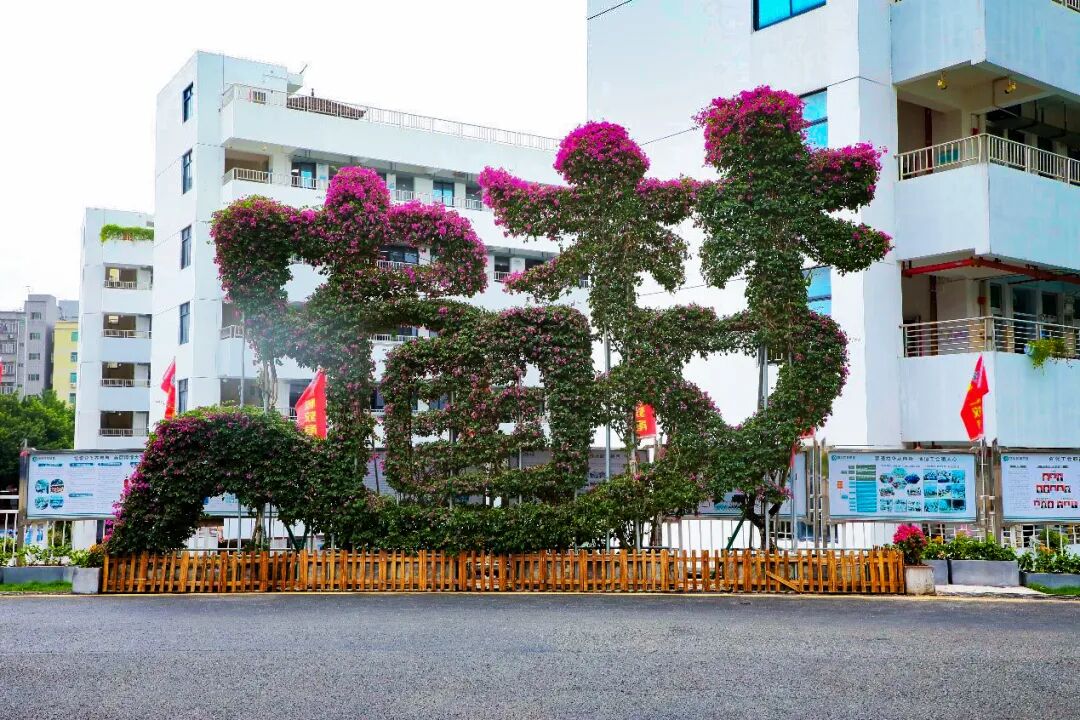 深圳博恒实验高中学校学员高分上岸一览