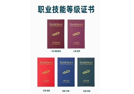 南京苏博教育学员高分上岸一览