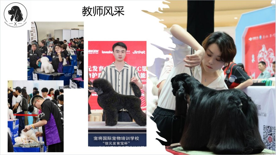 上海沪尚国际宠物美容培训学校学员高分上岸一览