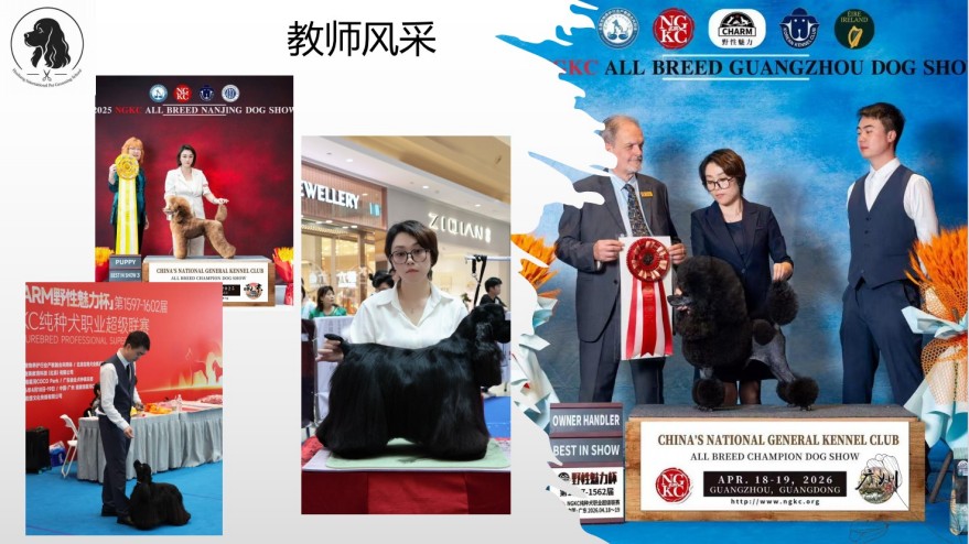 上海沪尚国际宠物美容培训学校学员高分上岸一览