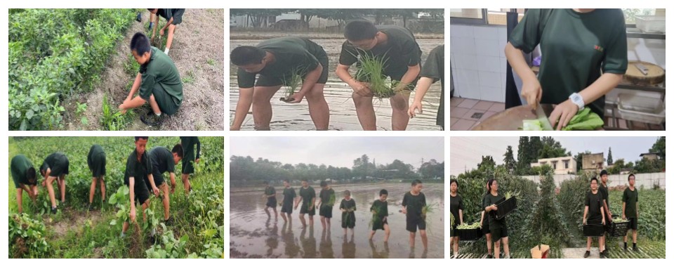 成都专业的青少年叛逆戒网瘾封闭式教育学校TOP10名单