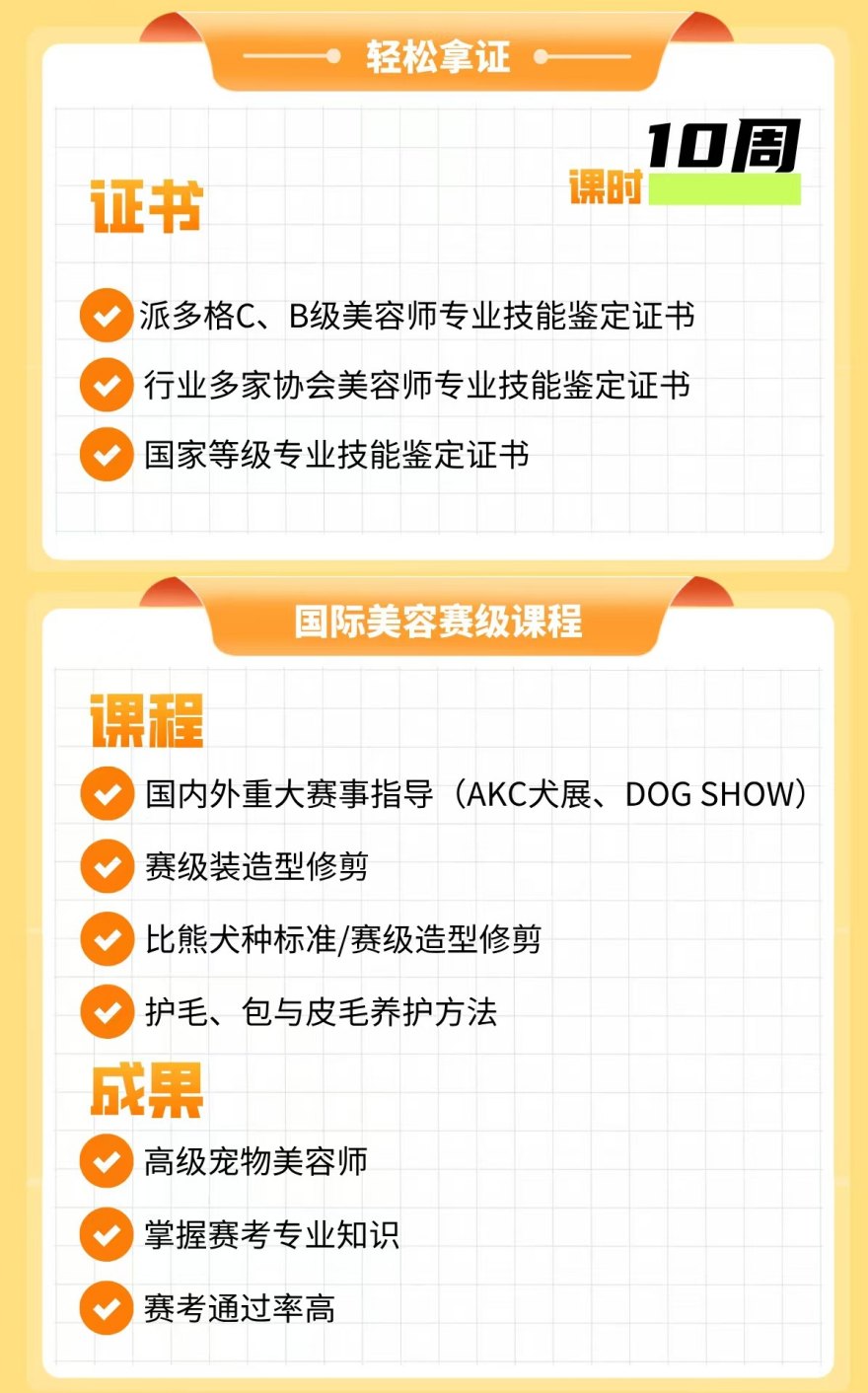 派多格C+B级宠物美容精英课