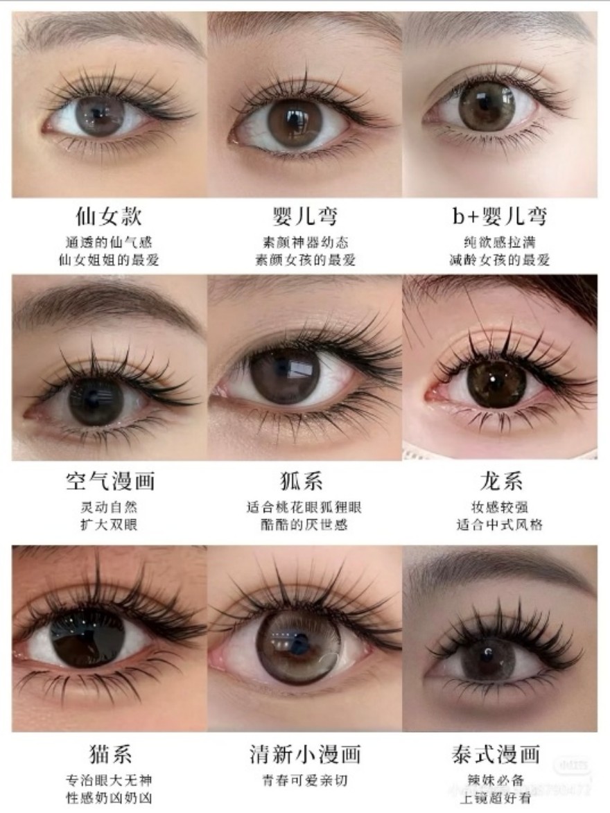 单双镊美睫融合班