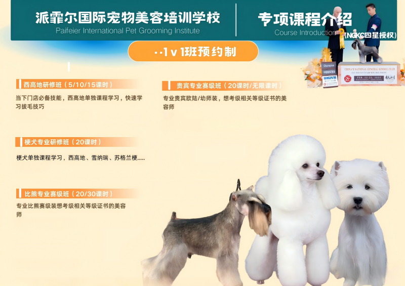 1v1班预约制