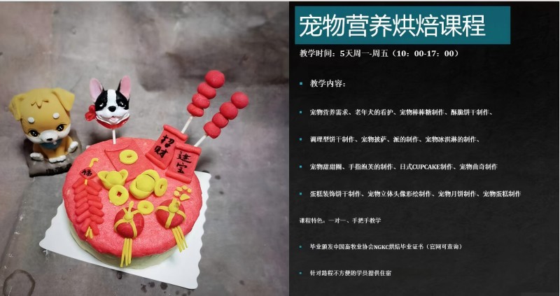 宠物营养烘焙