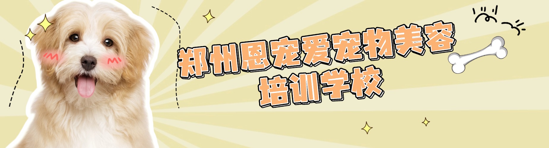 郑州恩宠爱宠物美容培训学校