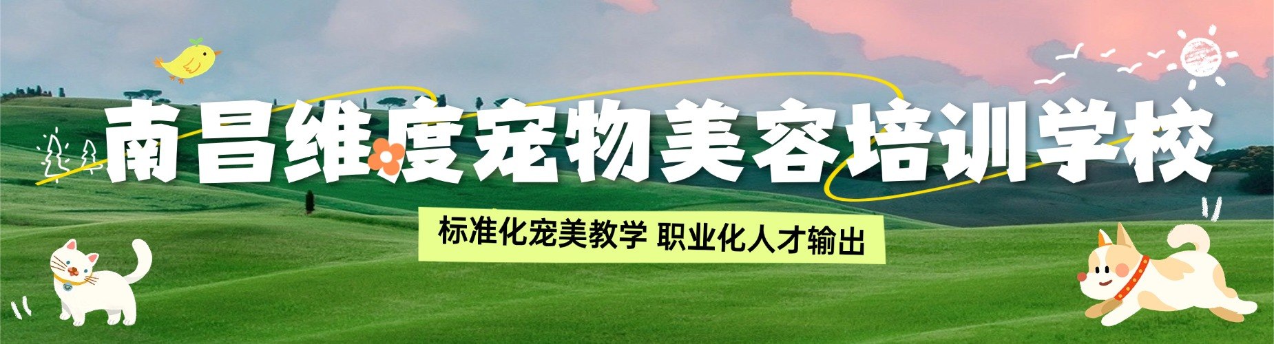 南昌维度宠物美容培训学校
