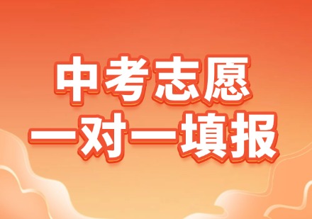 中高考志愿1对1服务
