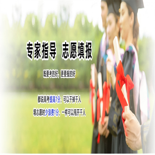 高考志愿填报辅导