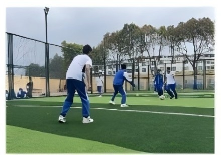 青少年素质教育课程