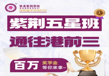 深圳紫荆福华DSE中五五星班