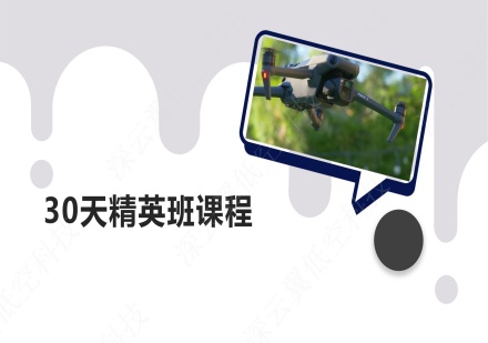 30天精英班课程