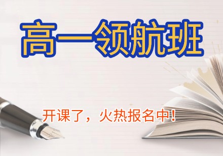 高一领航班
