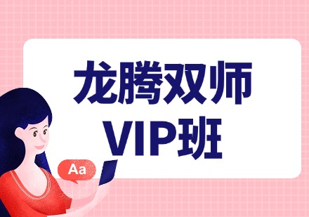 龙腾双师VIP班