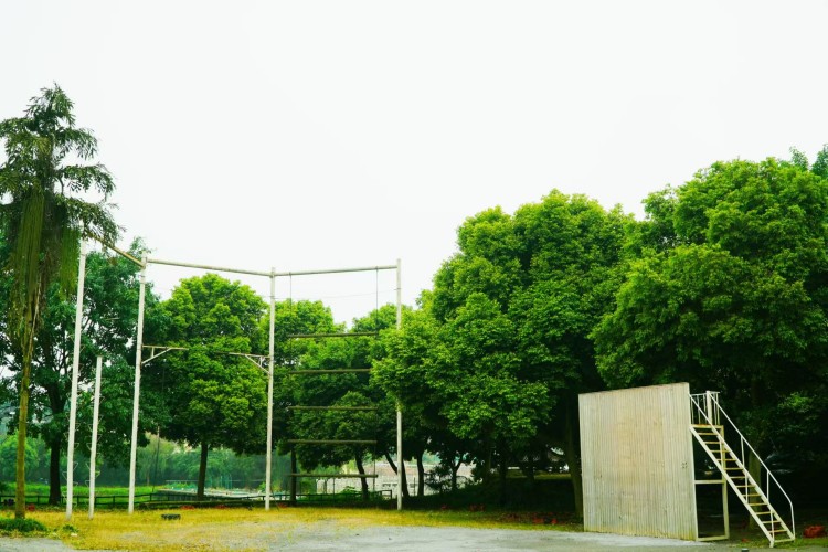 重庆审美教育培训课程