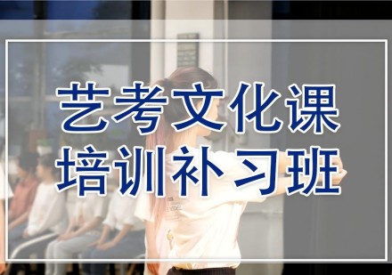 艺考生文化课培训课程