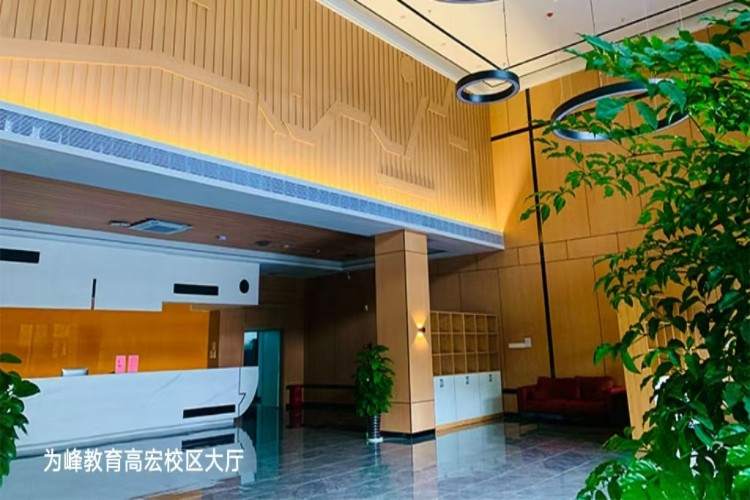 春季高考培训课程