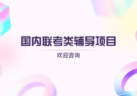 国内联考类辅导项目