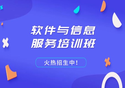 软件与信息服务培训班