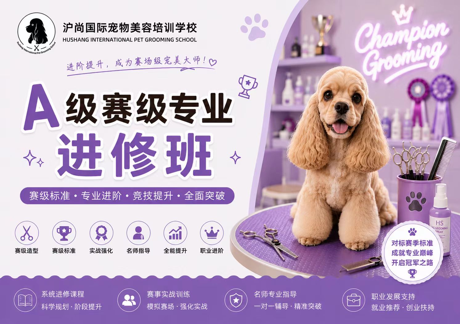 A赛级专业进修级班