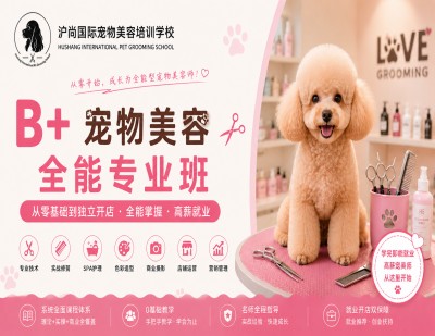 B+全能专业班