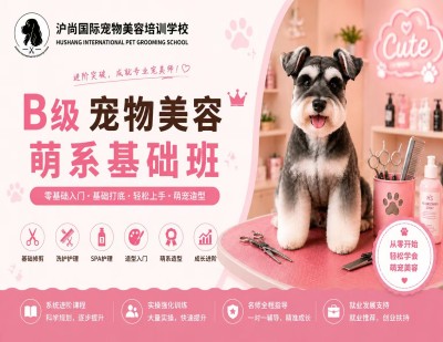 B级萌系网红精修班
