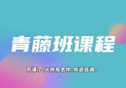 青藤班课程