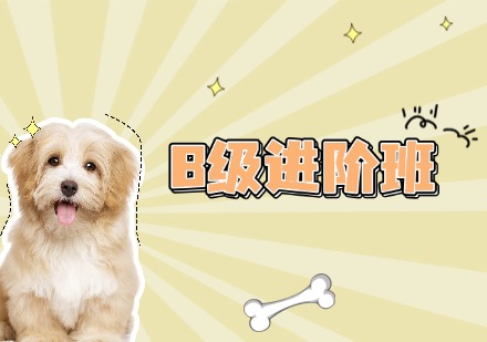 B级进阶班
