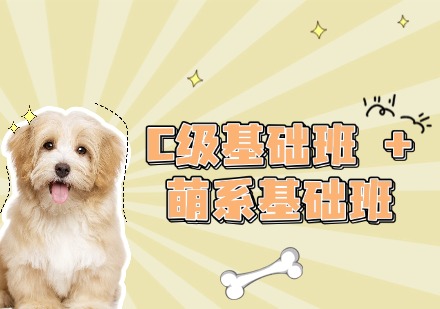 C级基础班 + 萌系基础班