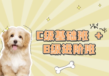 C级基础班 + B级进阶班