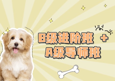 B级进阶班 + A级导师班