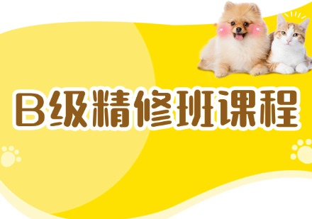 B级精修班课程