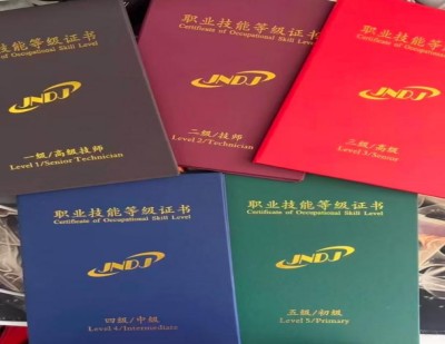 人社职业技能等级证书课程