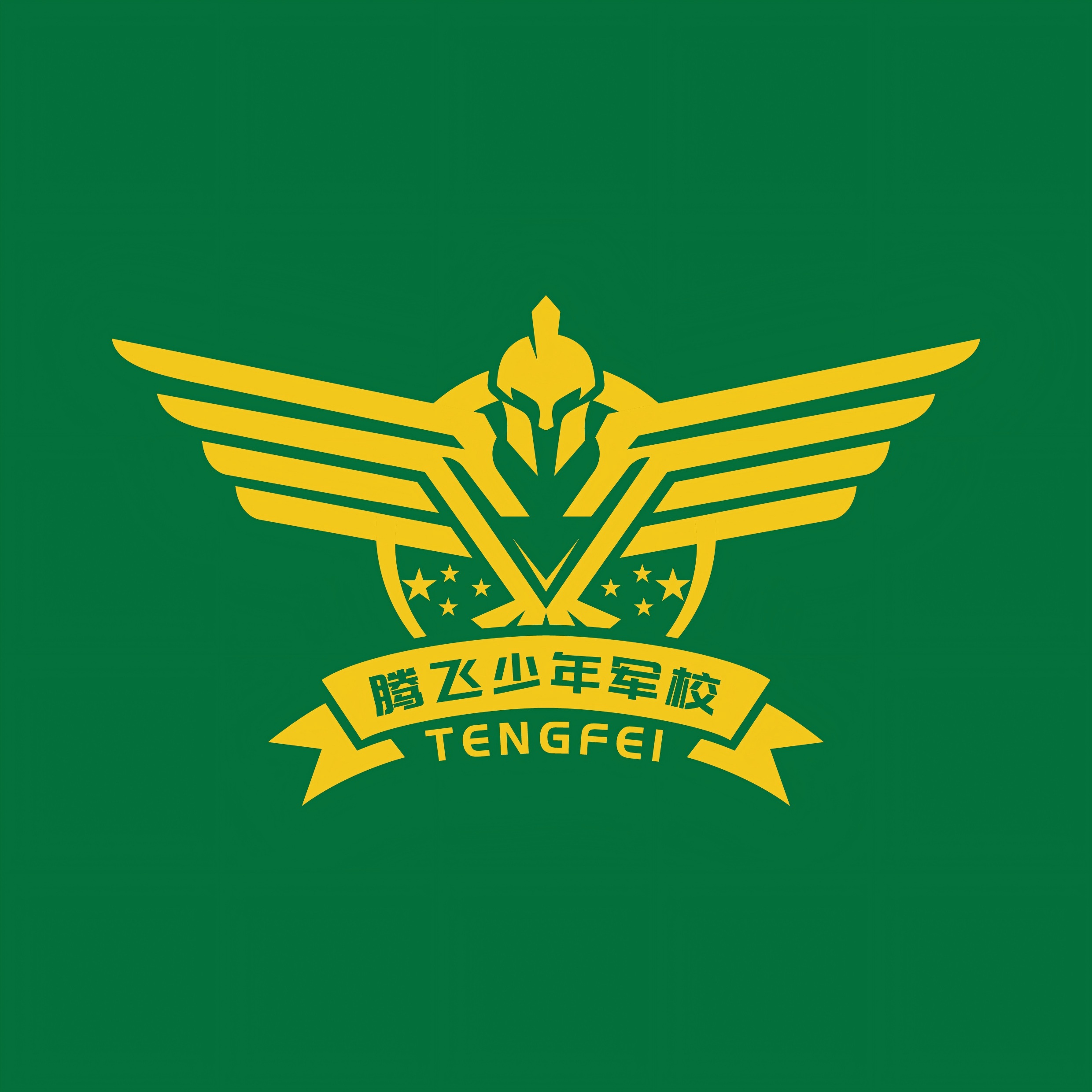 绵阳腾飞少年军校