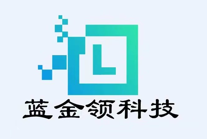 重庆蓝金领车载测试