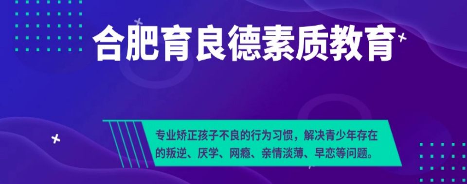 合肥封闭式戒网瘾叛逆期管教学校十大排名名单汇总