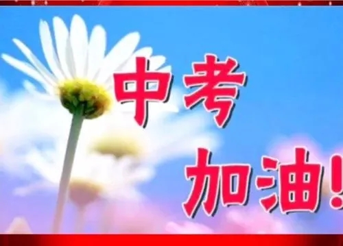 力推|合肥冲刺备考中考培训学校名单榜推荐一览