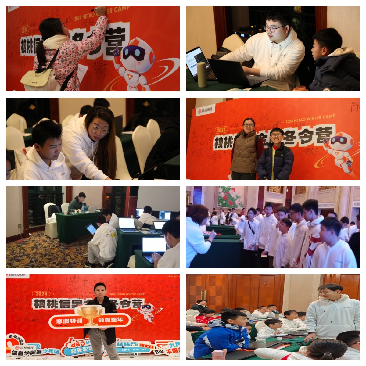 揭秘广州市中学生编程信息学奥赛培训机构推荐一览