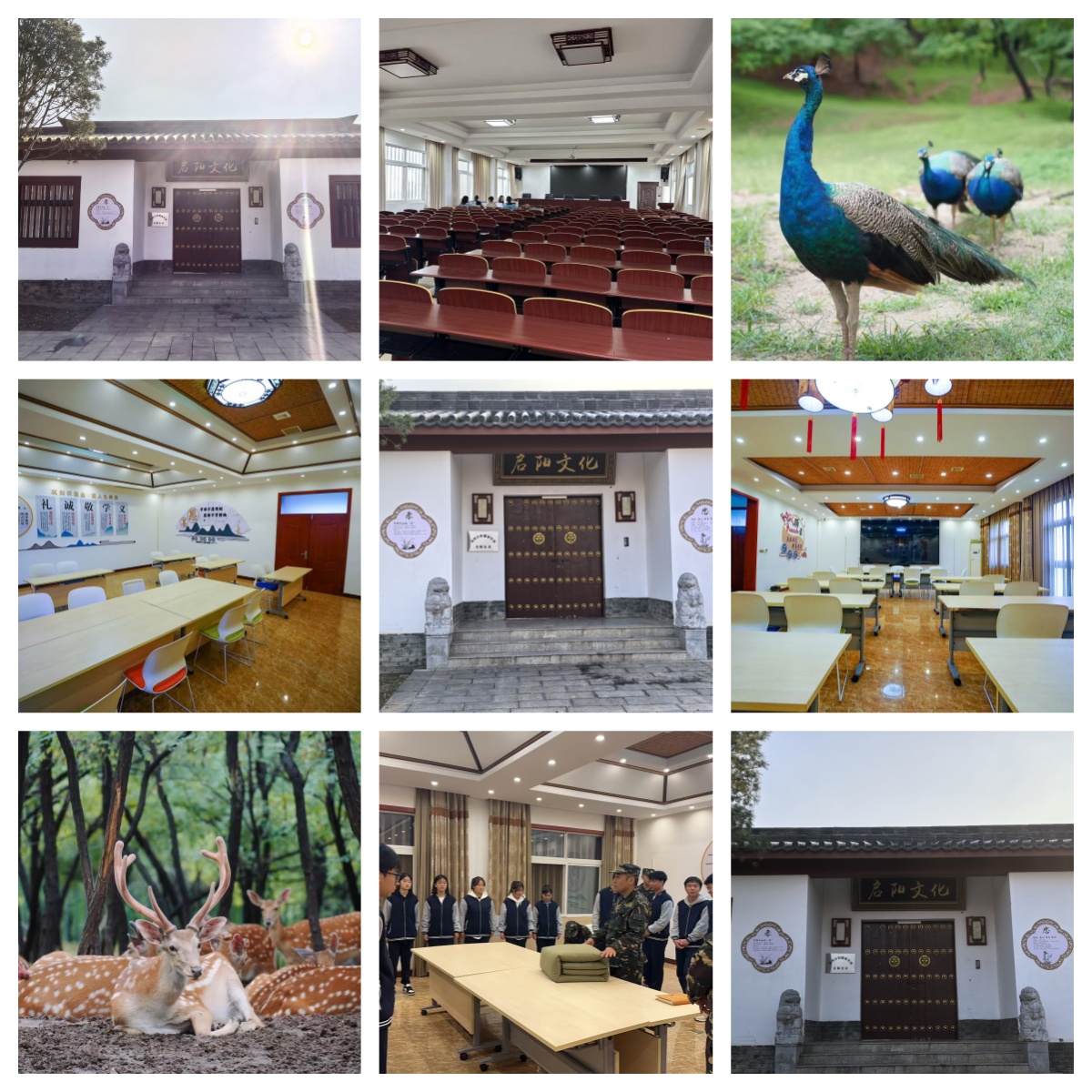 洛阳市叛逆学校-本地叛逆行为矫正学校,专注青春期孩子叛逆教育