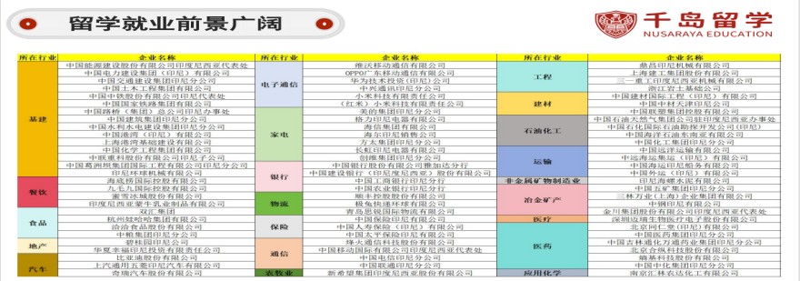 河北保定印尼zong统大学留学服务机构五大排名一览