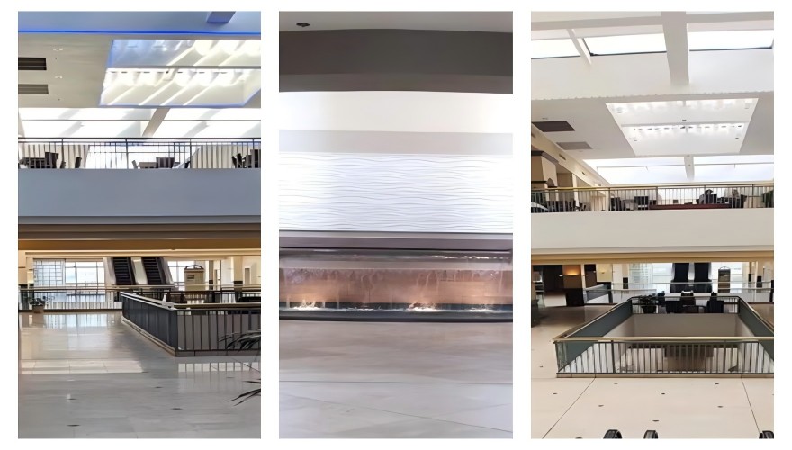 广东省湛江市发布十大美国留学申请中介机构名单一览