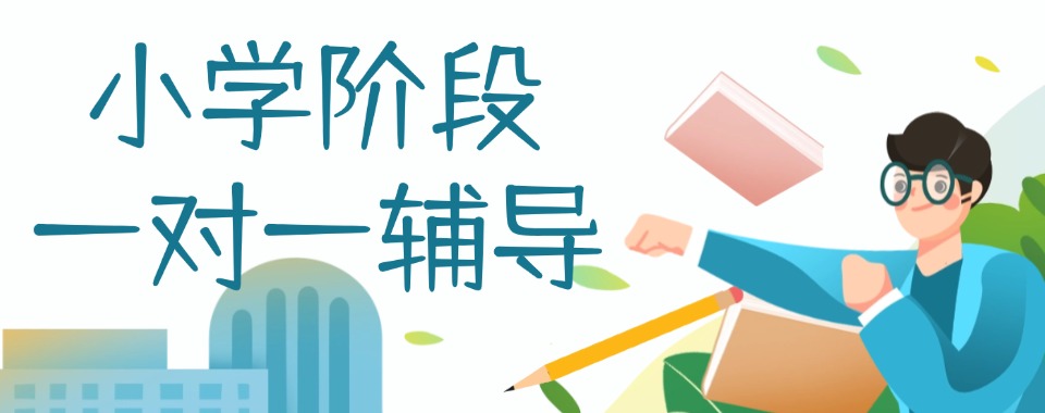 北京西城区小学阶段靠谱的一对一补习辅导机构有哪些值得推荐