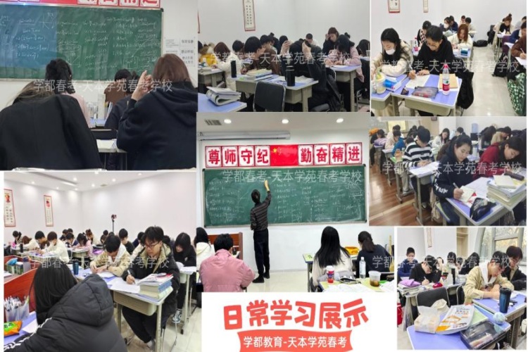 天津西青区单招（春季高考）培训辅导机构10大排名榜推荐一览