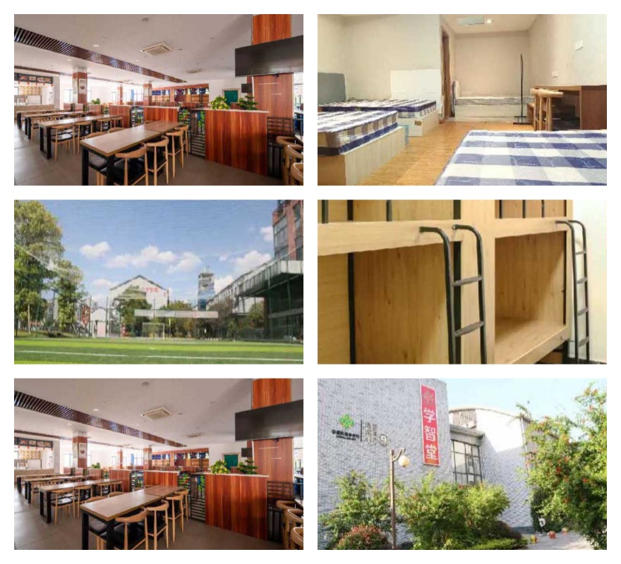 重庆市渝中区口碑好的高三复读辅导机构实力名单排名推荐