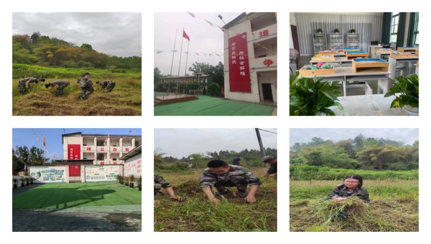 重庆排名不错的叛逆不想上学青少年素质教育学校推荐名单排行榜