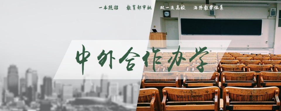 国内TOP10热榜名师指导中外合作办学申请一站式服务机构十大名单公布